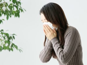 花粉症 くしゃみ 風邪