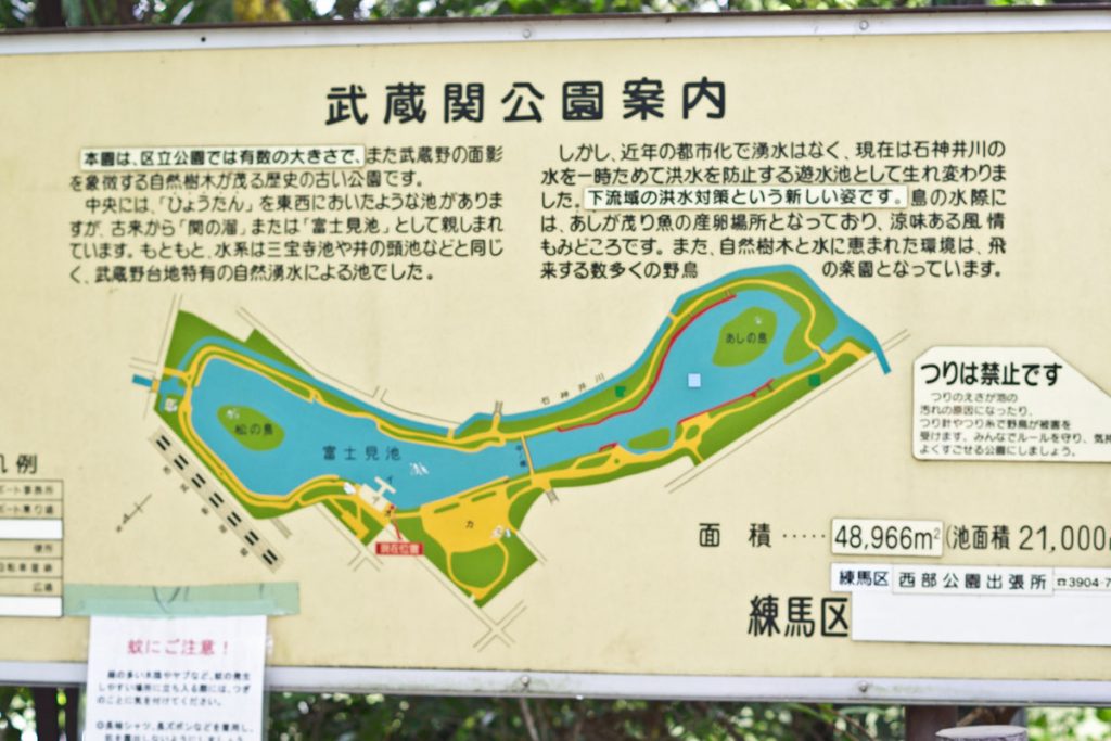 武蔵関公園 (14)