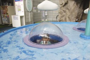 お台場 水の科学館