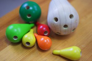 サボテンの種類と穴