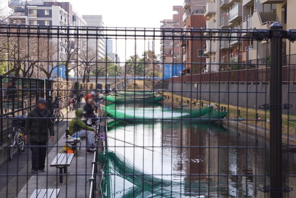 大横川親水公園 釣り
